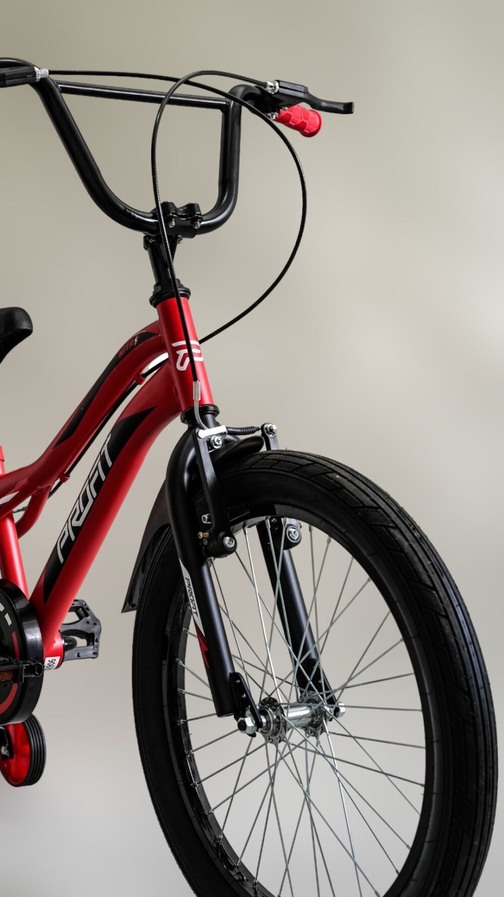 BICICLETA PROFIT NITRO RIN 20 - Imagen 2
