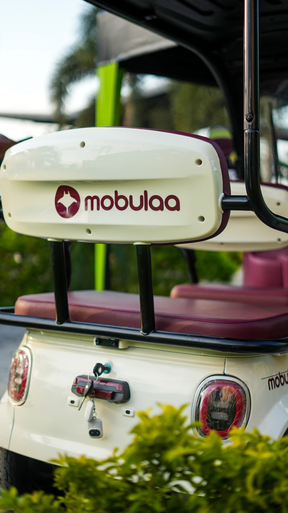 MOTO ELÉCTRICA MOBULAA P7 - Imagen 2