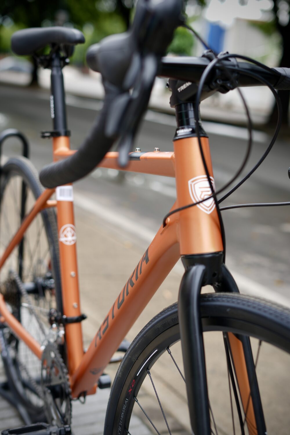 BICICLETA ASTORIA GRAVEL - Imagen 2